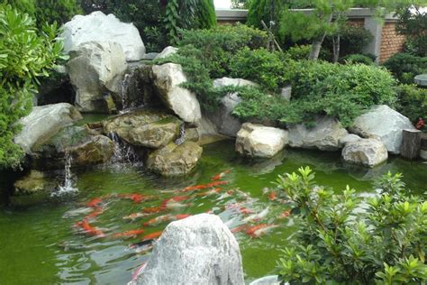 戶外魚池造景 紅色代表數字